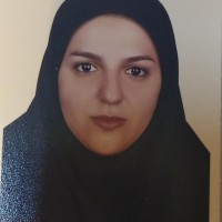 Mehrnaz Ahmadinia