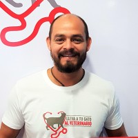 Hugo Landaeta Torres