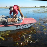 Frances Murray-Hudson