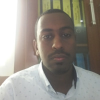 ammar suliman