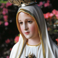 Cartera. Techcomex alvarez