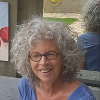 Anja van der Pol
