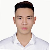 Viet Hoang Nguyen