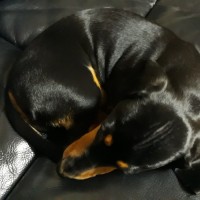 이현욱