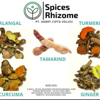 Spices Rhizome