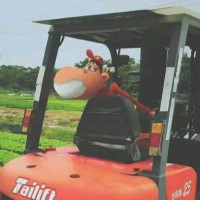 卓泽伟