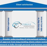 Cerule Consulting