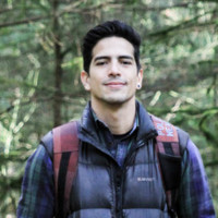 Luciano Martins Pereira