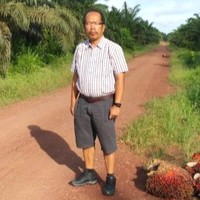 Warman Purba