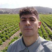 Pedro Larrahona Alemparte