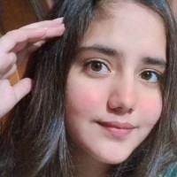 Shivi Y.
