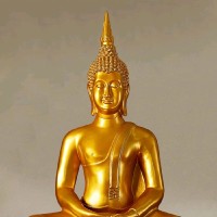 Angela Chin