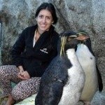 Malu Celli, Phd