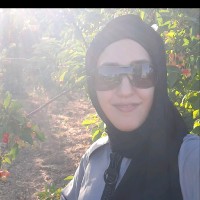Narges Hashemi