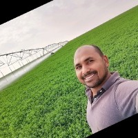 Ali Almsry
