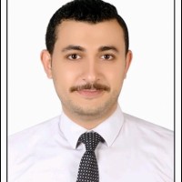 Mohamed Mohsen Elbahrawy