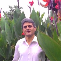 Ahmad Rasedi