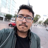 Javier Adrian Dominguez Gamboa
