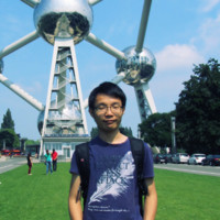 Qiang Wang