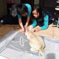 刘雁南飞