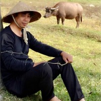 Dương Trọng Hải