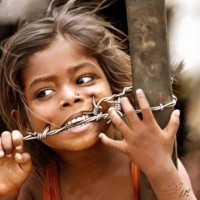 محمد السقاف