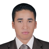 Mostafa Abdalraheem