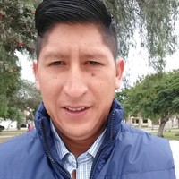 Carlos Andres Castillo Bejar