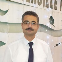 Hany Shokry