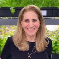 Katherine Soll