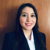 Alison Valeria Castillo Lugo