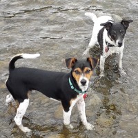 Jutta Brettschneider