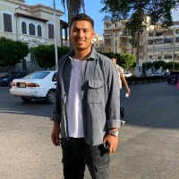 Mostafa Elhwary