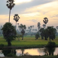 Madalena São Marcos