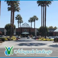Gilbert Mosqueda