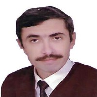 Amr Hanafy