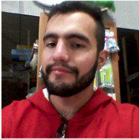 Henrique Schulz da Silva