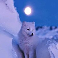 henar minguela ortega