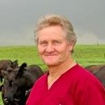 Herbert M “Tim” Richards III  DVM