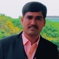 Devi Singh Palthya
