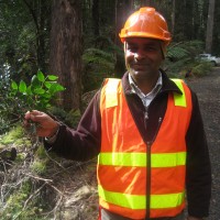 Bechu K.V. Yadav, Phd