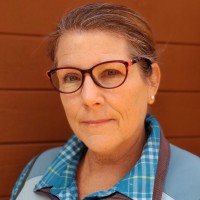 Stacey L. Jaudon, Msw,