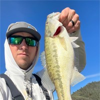 Ryan Avezzie