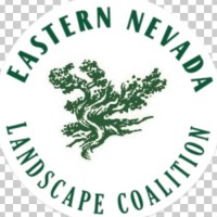 ENLC ENLC
