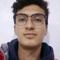 Mohamed Iyed Ouerghi