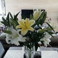王洪军