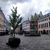 Anna Louise von Lachmann Brandt