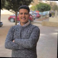 Ahmed Gamil