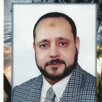 م/محمد شوقي محمد