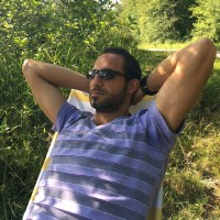 Karim Elgendy
